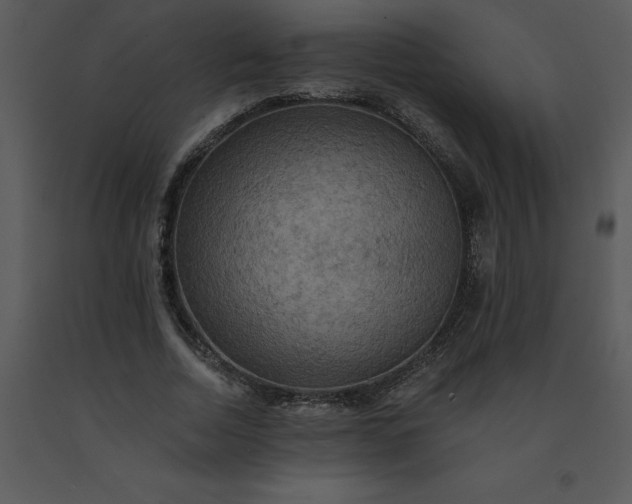 X0000091460730200708301830