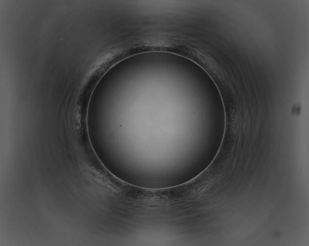 X0000091460731200708301830