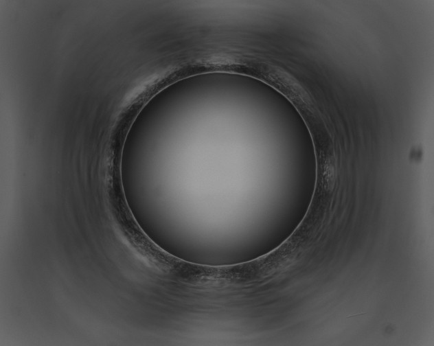 X0000091460732200708301830