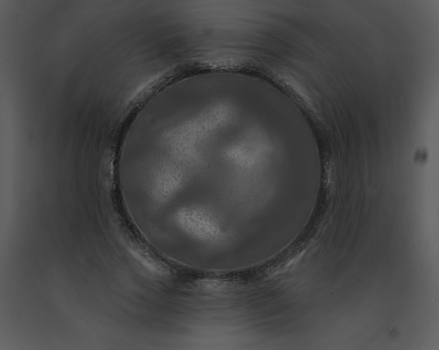 X0000091460733200708301831