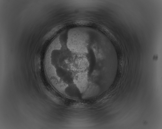 X0000091460734200708301831