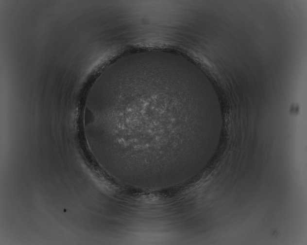 X0000091460735200708301831