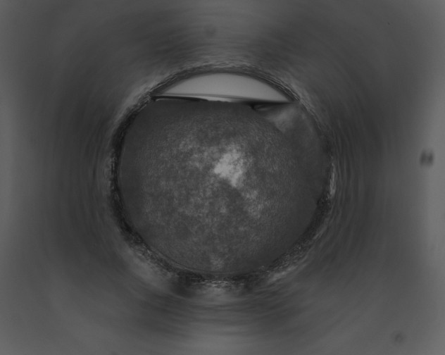 X0000091460736200708301831