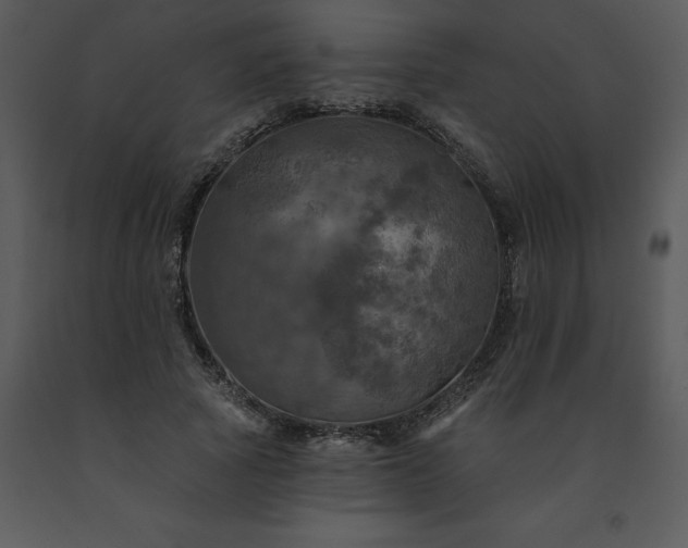 X0000091460737200708301831