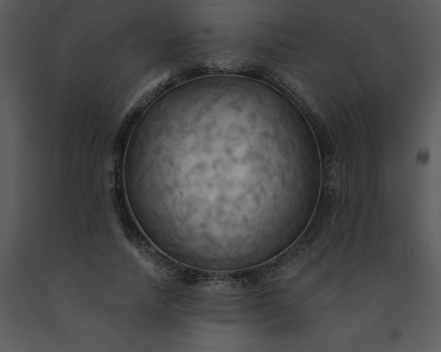 X0000091460738200708301831