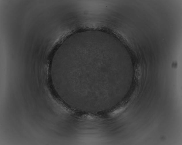 X0000091460739200708301831