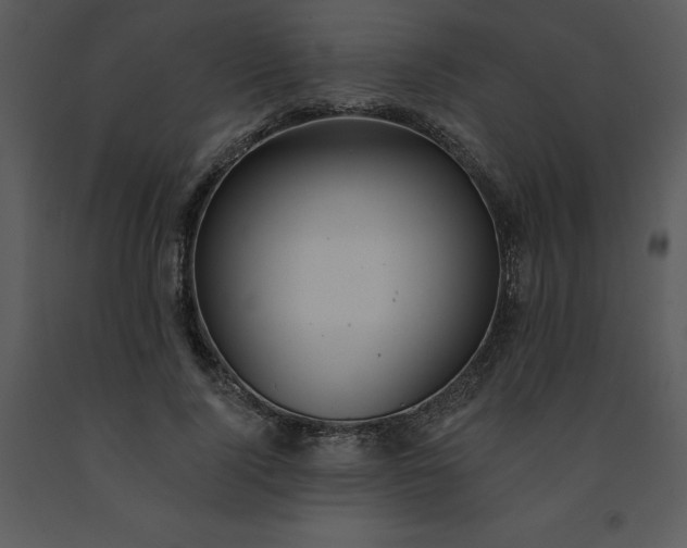 X0000091460740200708301831