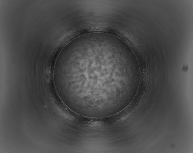 X0000091460741200708301831