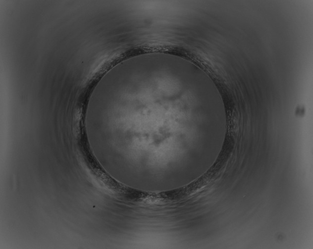 X0000091460742200708301831