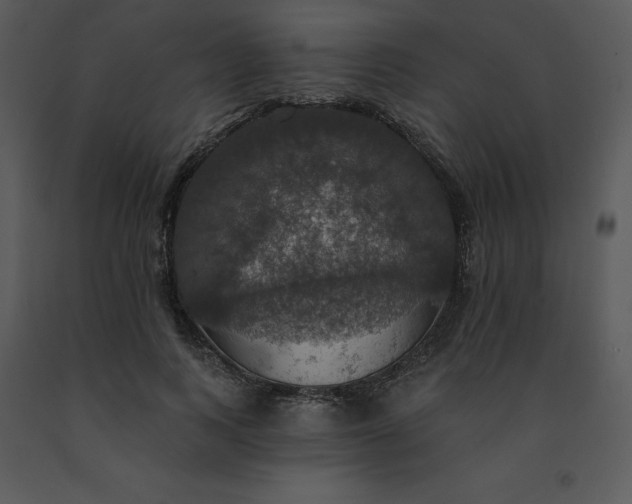 X0000091460743200708301831