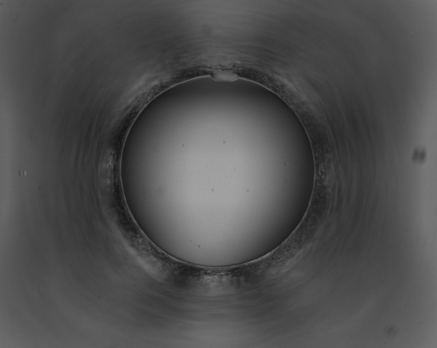 X0000091460744200708301831