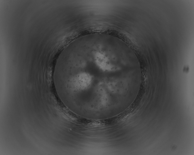 X0000091460745200708301831