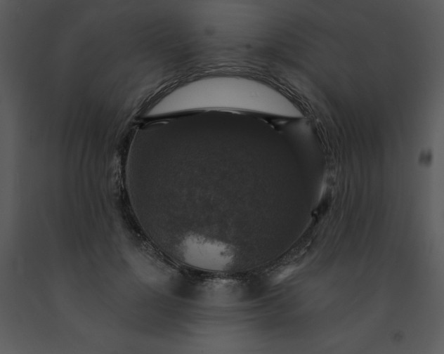 X0000091460748200708301831