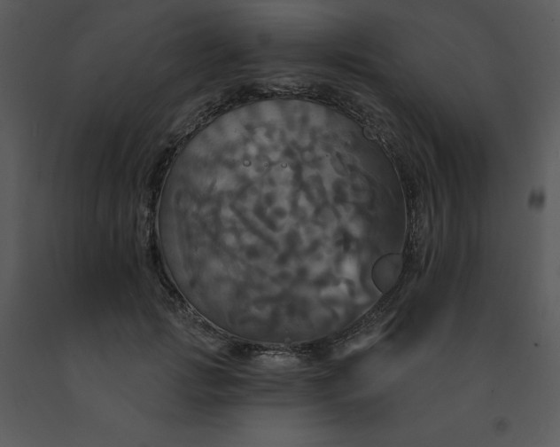 X0000091460749200708301831