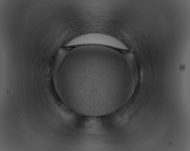 X0000091460750200708301831