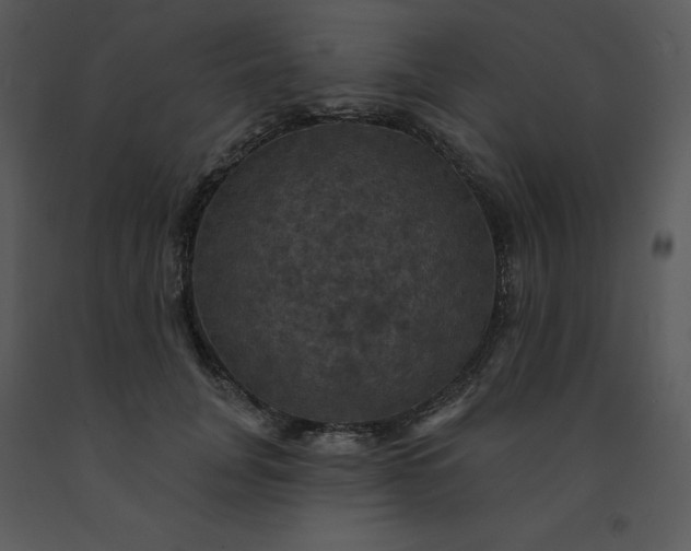 X0000091460751200708301831