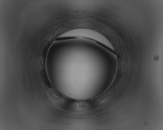 X0000091460752200708301831