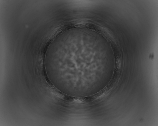 X0000091460753200708301831