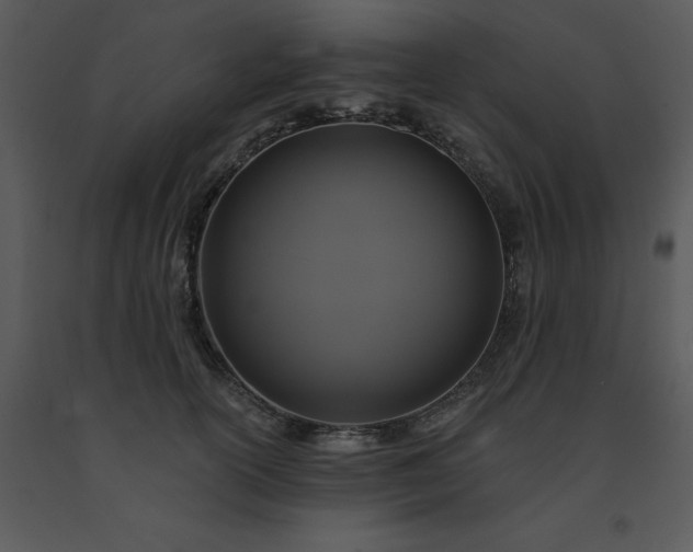 X0000091460754200708301831