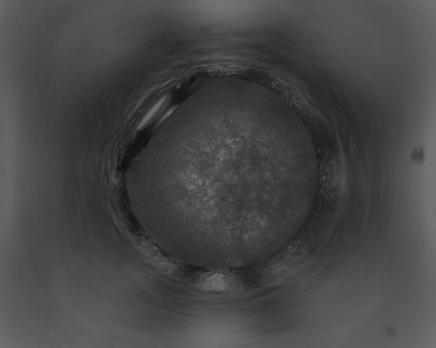 X0000091460755200708301831