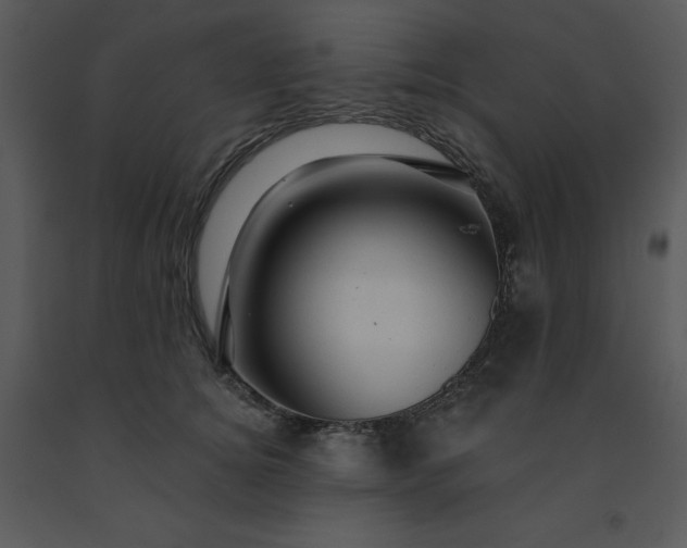 X0000091460756200708301831