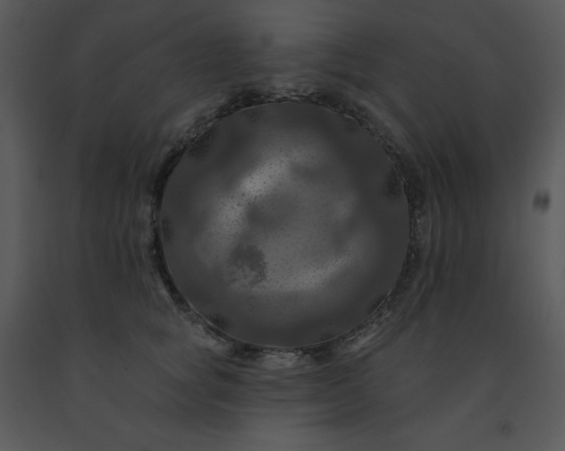 X0000091460757200708301831