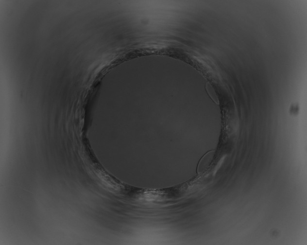 X0000091460758200708301831