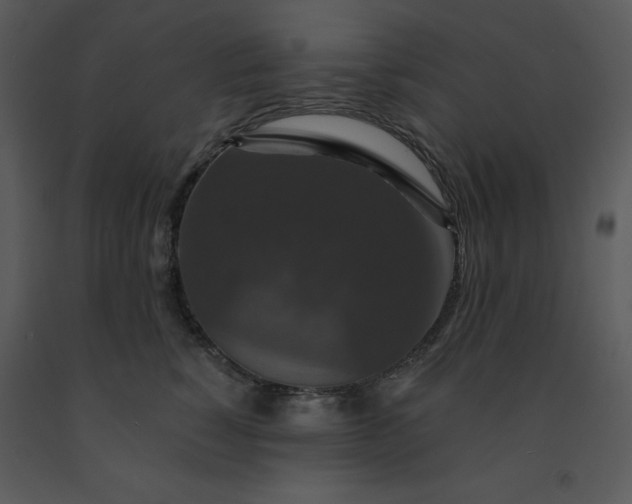 X0000091460760200708301831