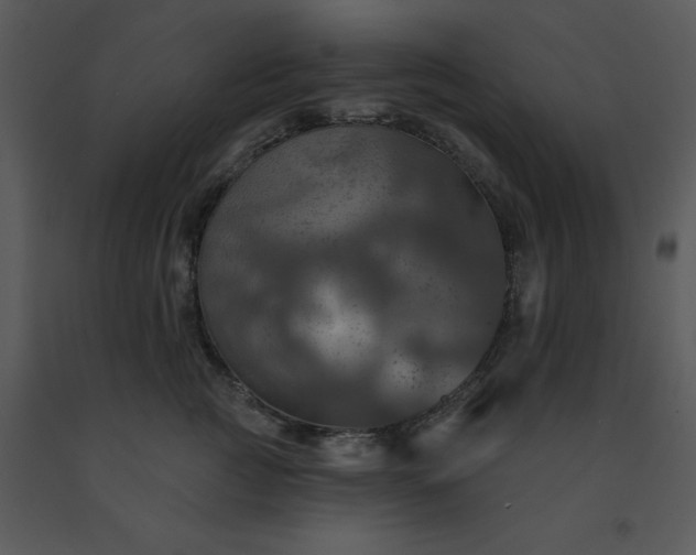 X0000091460761200708301831