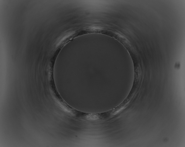 X0000091460762200708301831