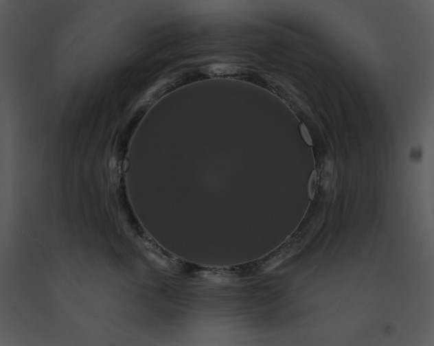 X0000091460763200708301831