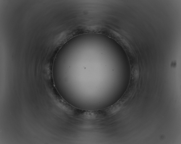 X0000091460764200708301831