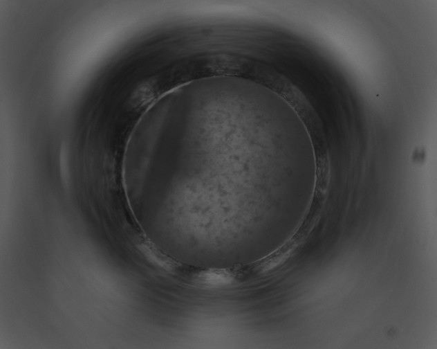 X0000091460765200708301831