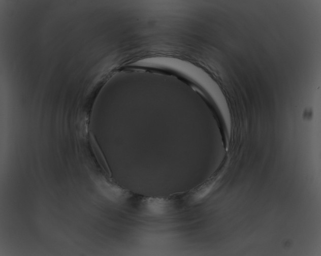 X0000091460766200708301831