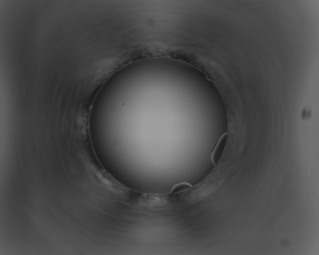 X0000091460768200708301831