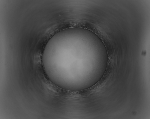 X0000091460770200708301830