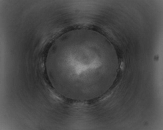 X0000091460771200708301830