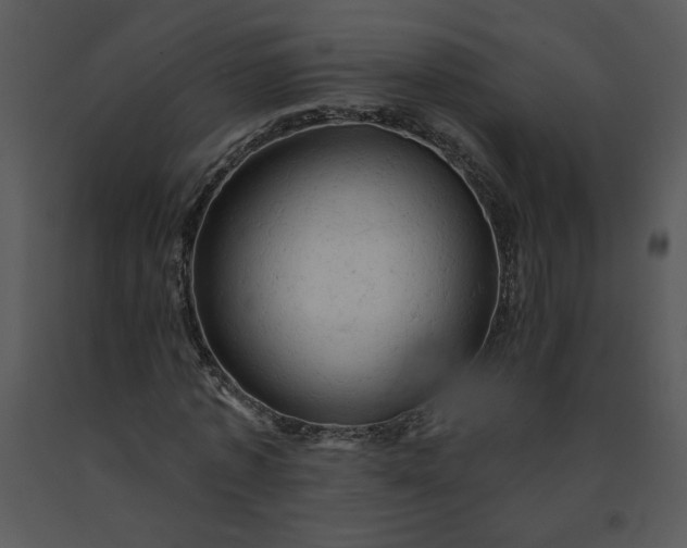 X0000091460773200708301830