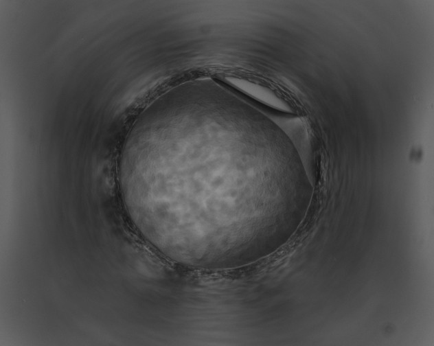 X0000091460774200708301830