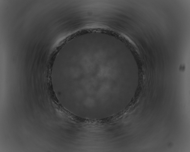 X0000091460775200708301830