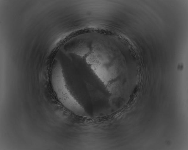 X0000091460776200708301830