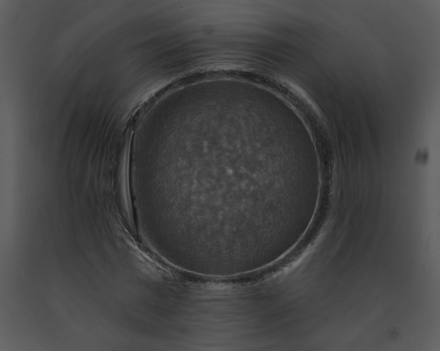 X0000091460777200708301830