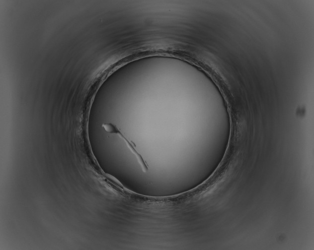 X0000091460778200708301830