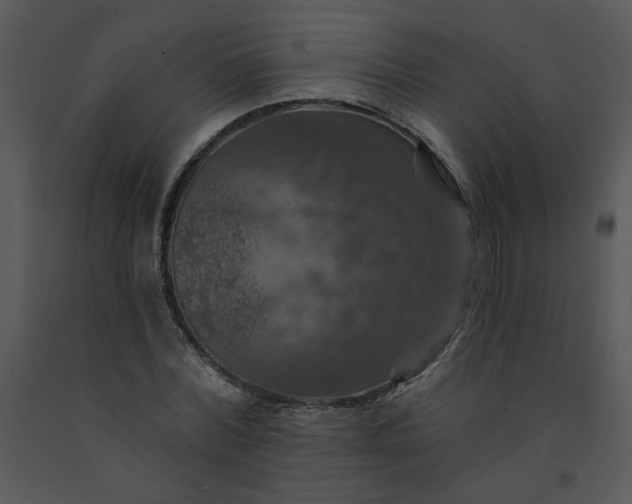 X0000091460780200708301830