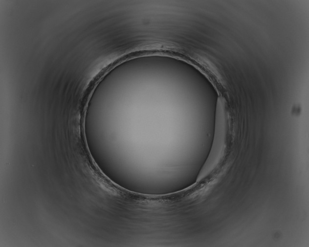 X0000091460781200708301830