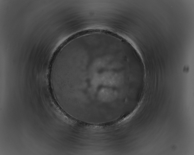 X0000091460783200708301830