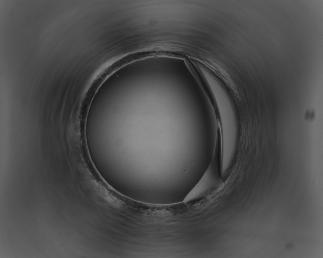 X0000091460784200708301830