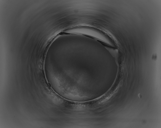 X0000091460785200708301830