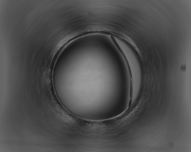 X0000091460786200708301830