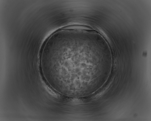 X0000091460787200708301830